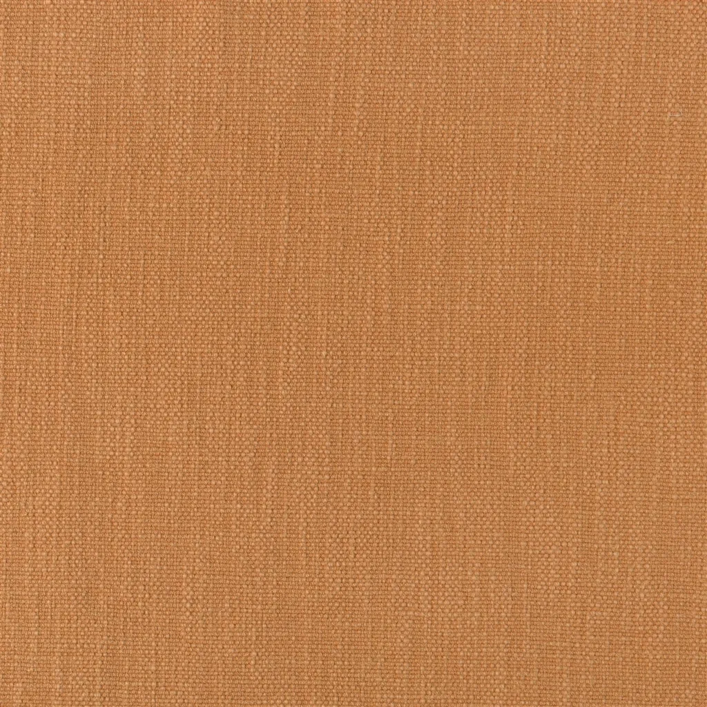 tortona - zinnia