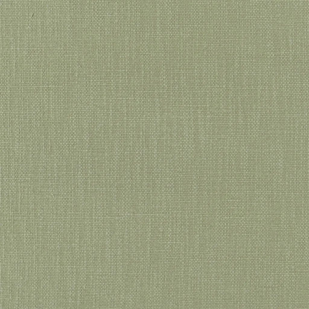 tortona - willow