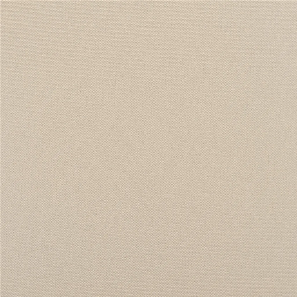 coastal plain - ecru