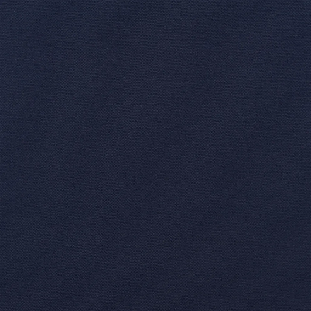 coastal plain - dark blue