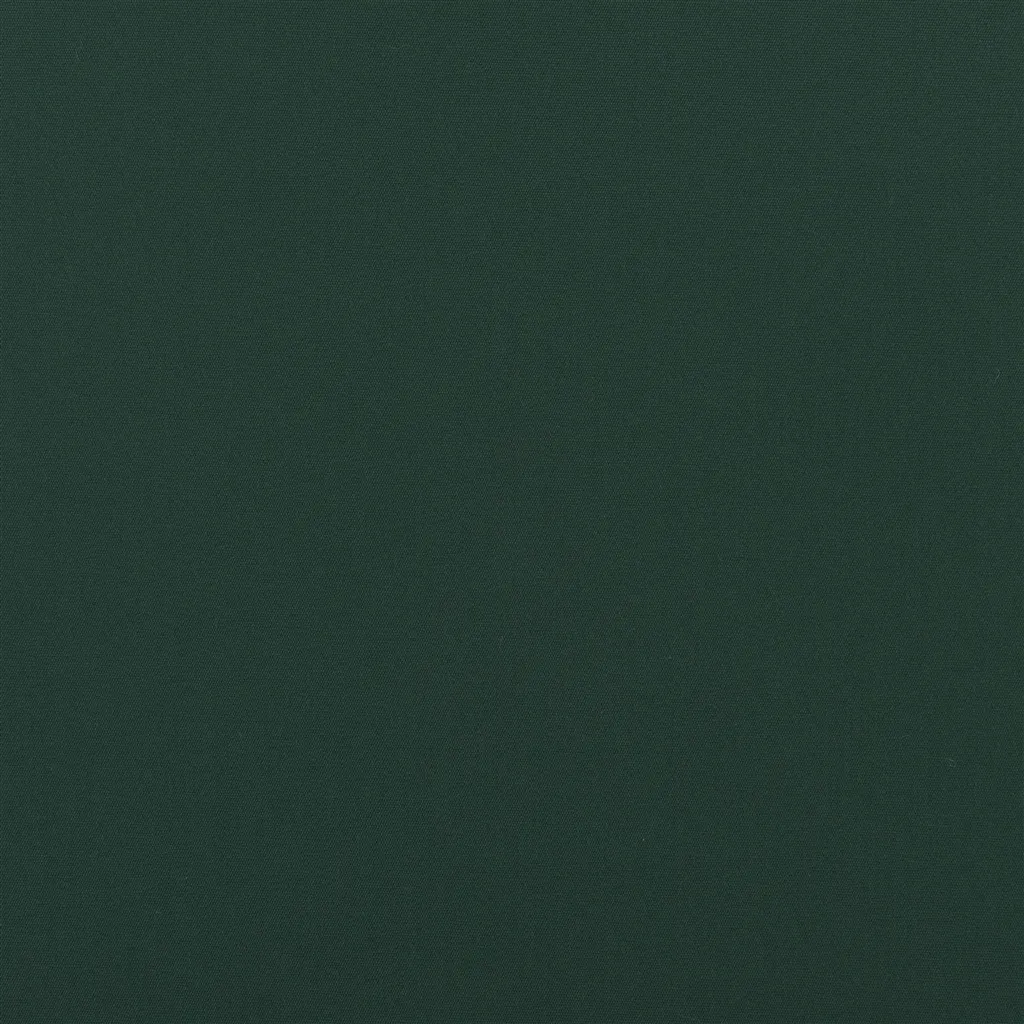 coastal plain - green