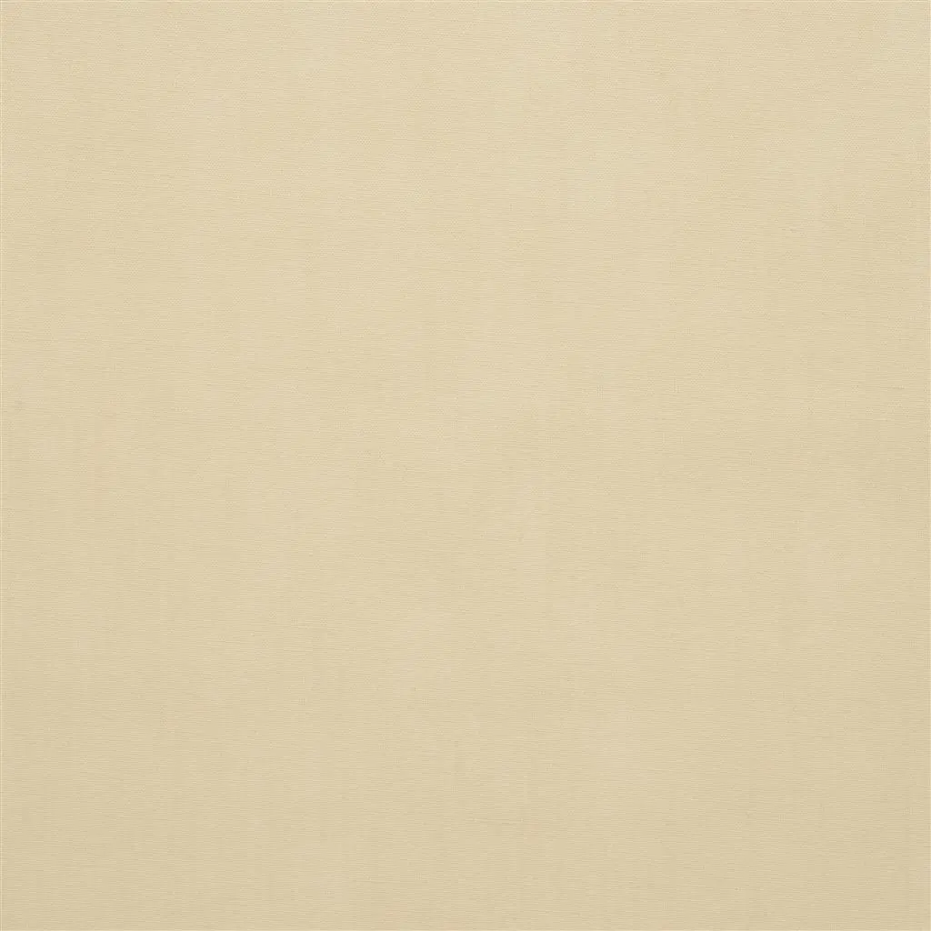 Lorenzo - Parchment Cutting