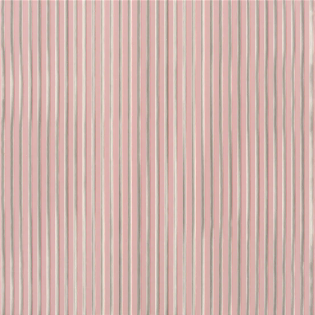 albemarle stripe - hibiscus