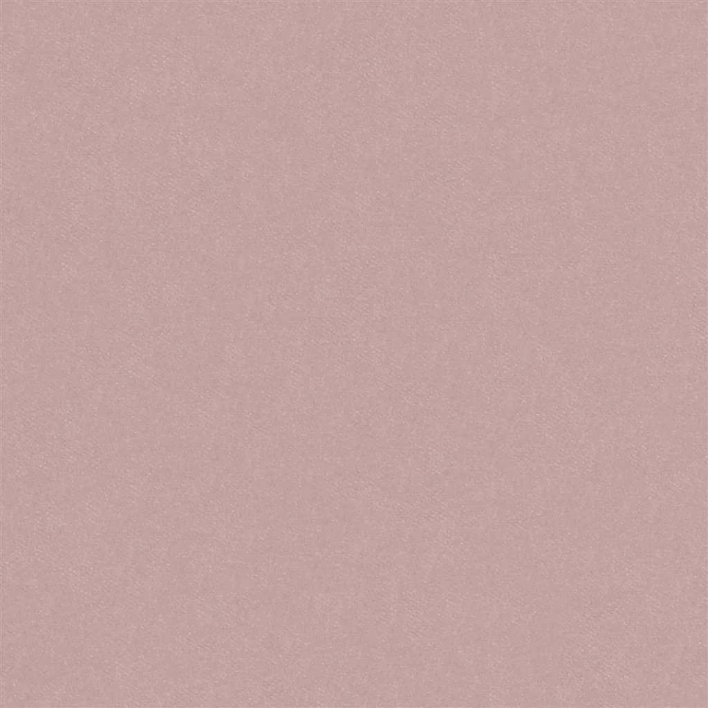 Brinzio - Blossom
