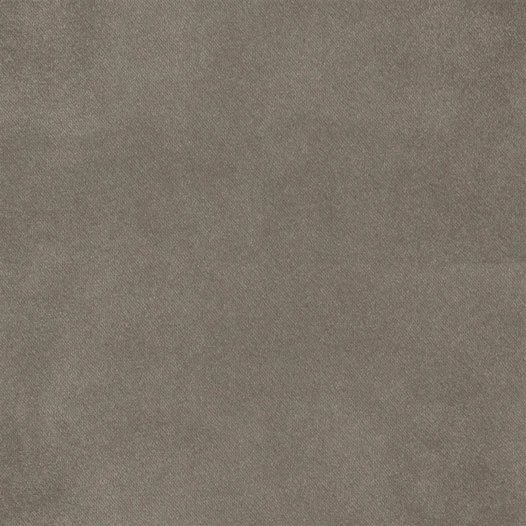Brinzio - Birch