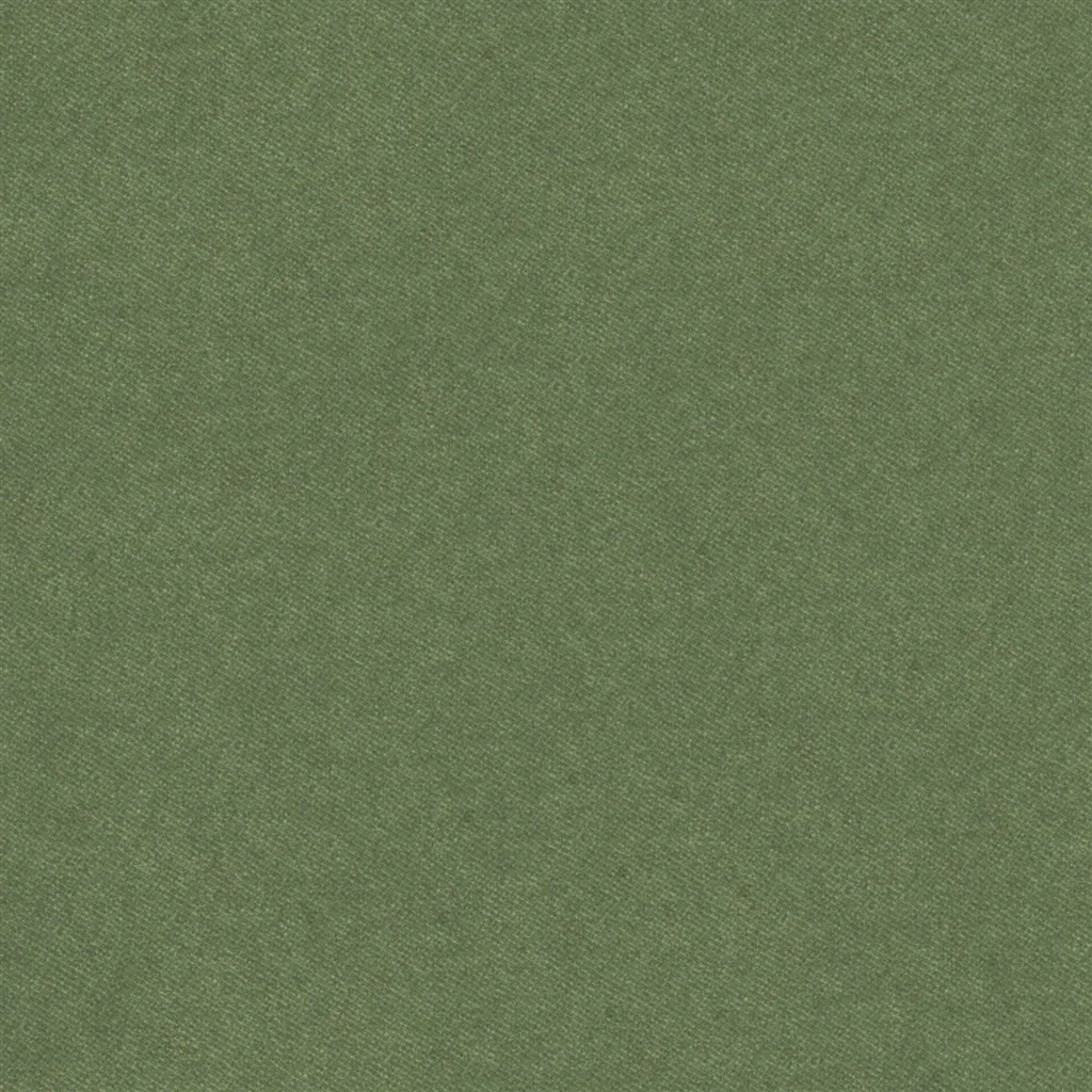 Brinzio - Lichen