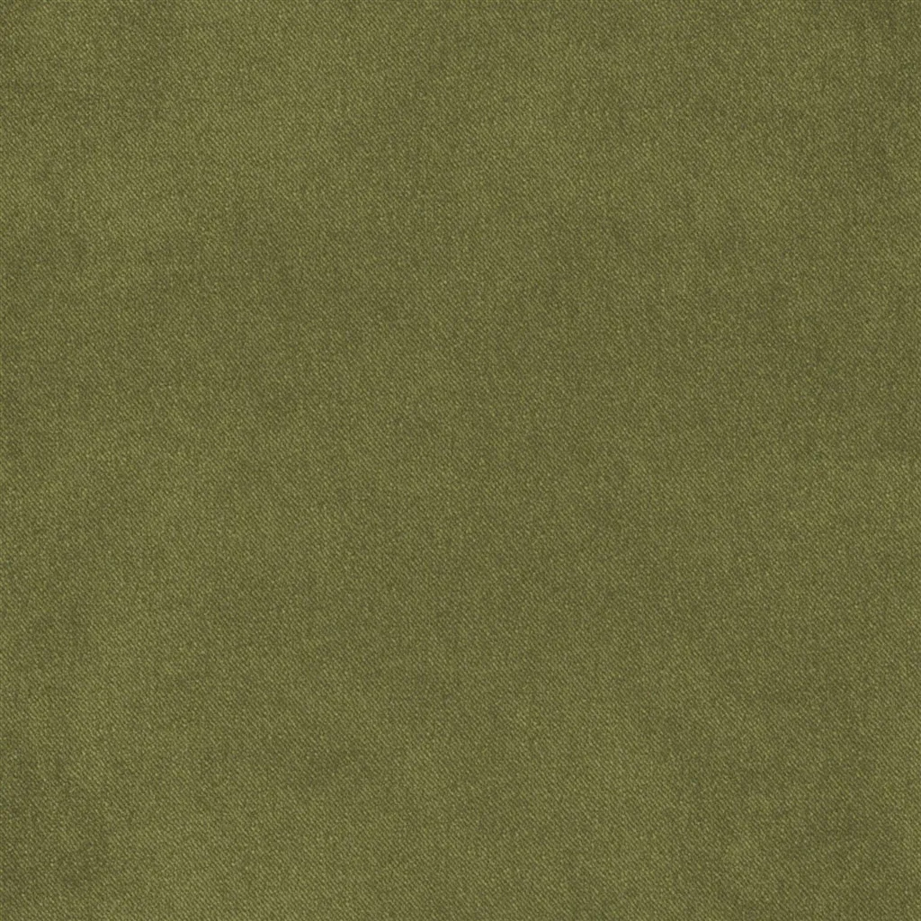 Brinzio - Moss