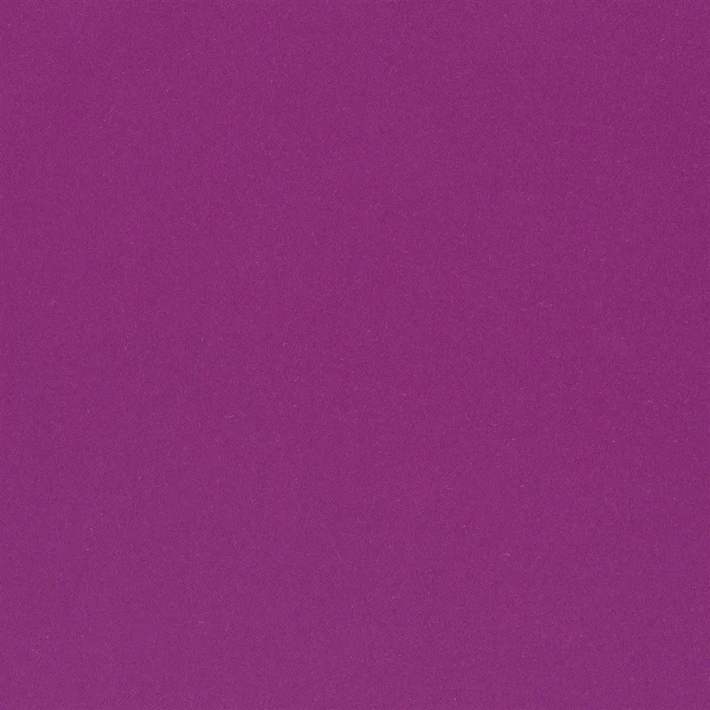 Lucente - Magenta Cutting