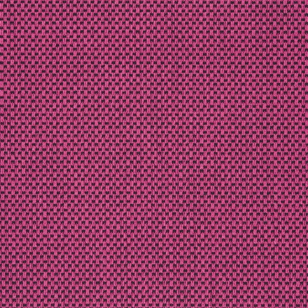Eton - Fuchsia Cutting