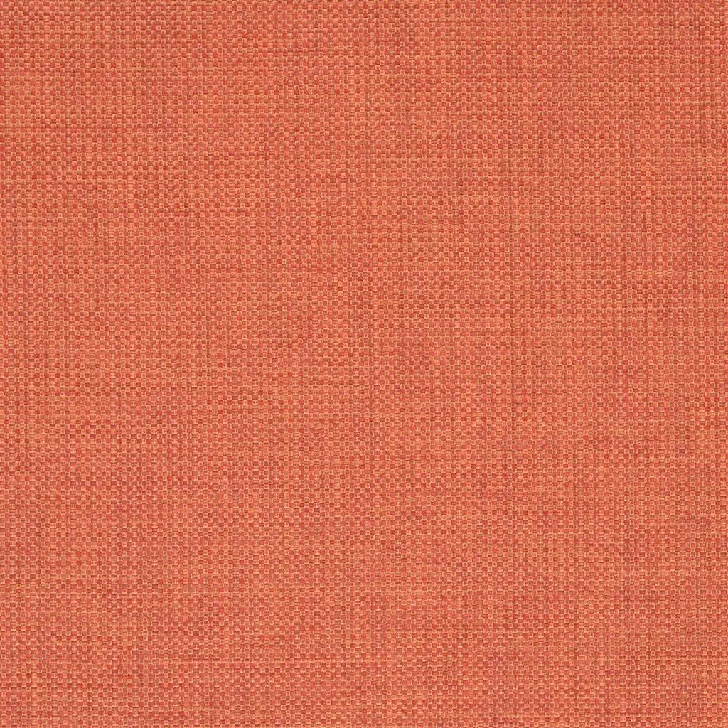 Morvern - Saffron Cutting