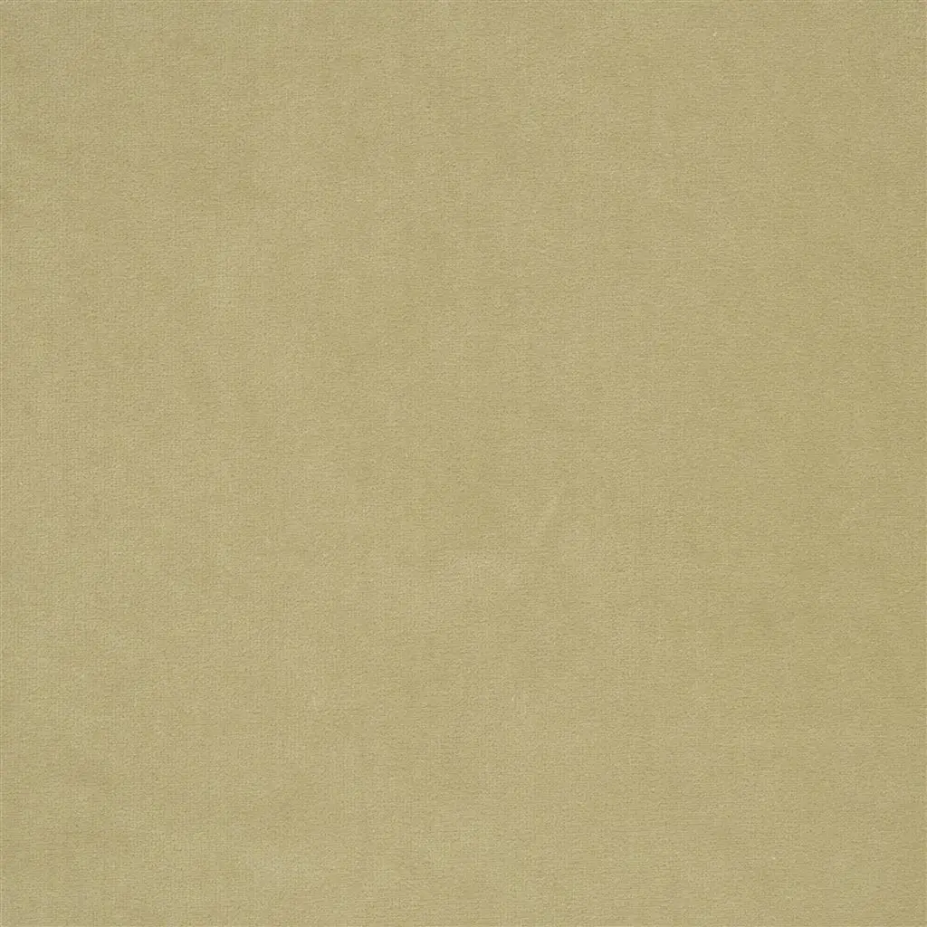 Cassia - Biscuit Cutting