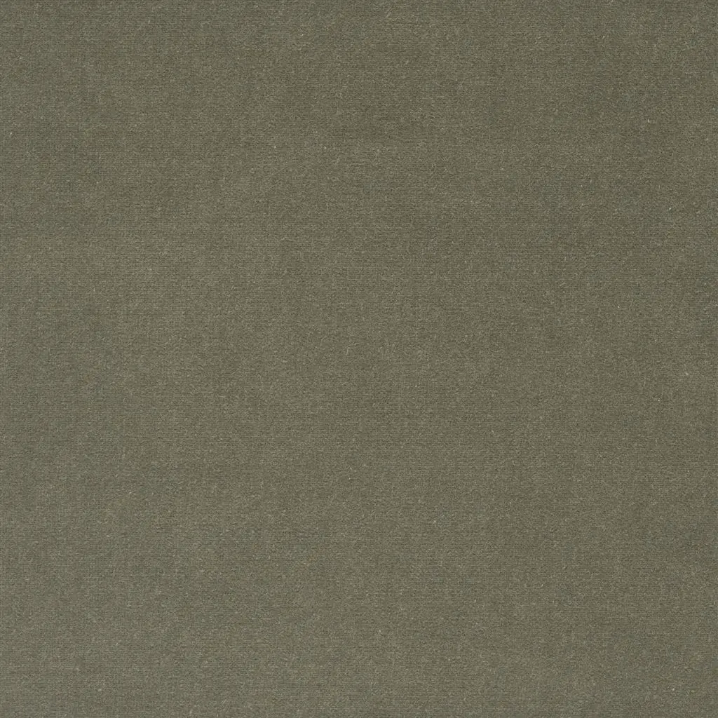 Cassia - Roebuck Cutting