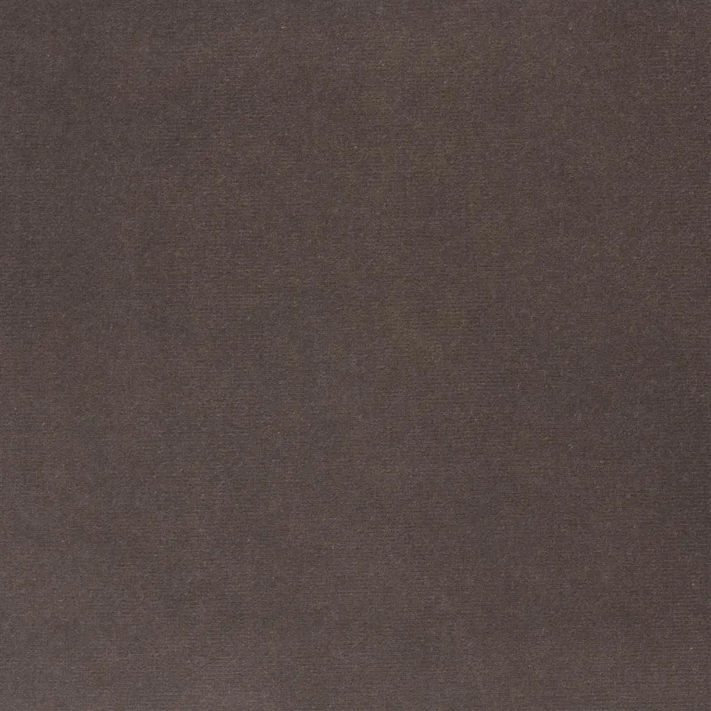 Cassia - Moleskin Cutting