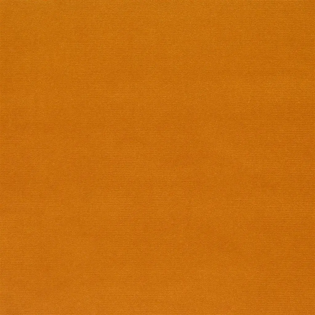 Cassia - Saffron Cutting