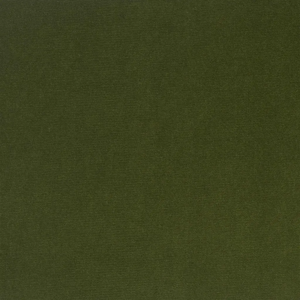 Cassia - Fern Cutting