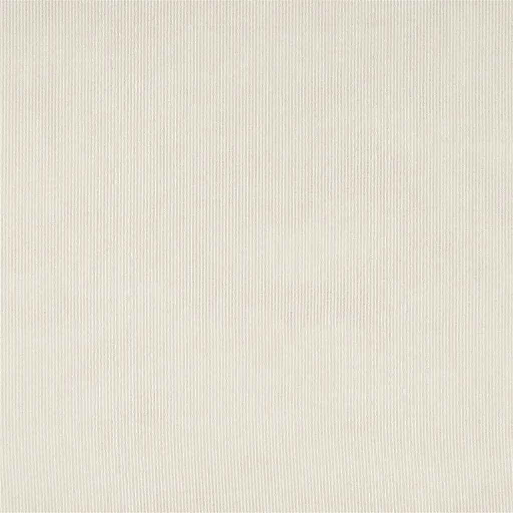 Mayer - Eggshell Cutting