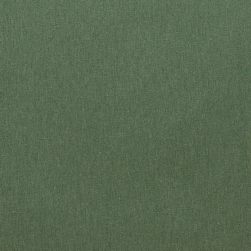 Savanna - Forest Cutting