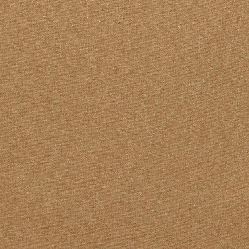 Savanna - Pumpkin Cutting