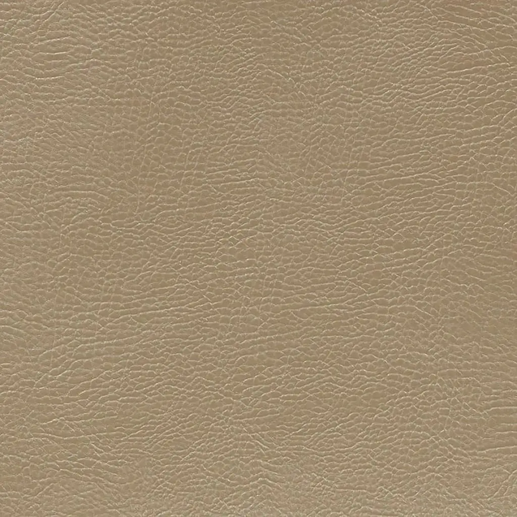 Mojave - Hazel Cutting
