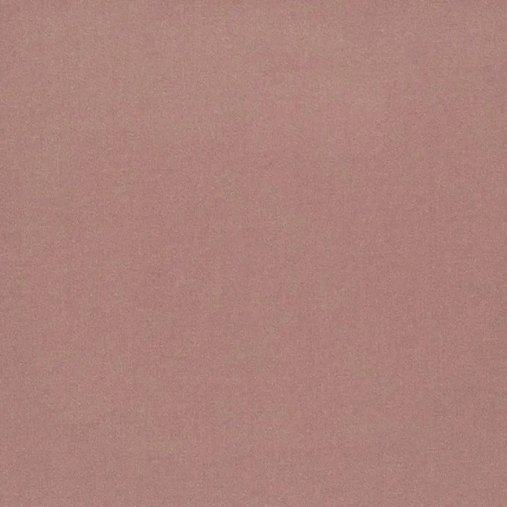 Tiber - Pale Rose Cutting