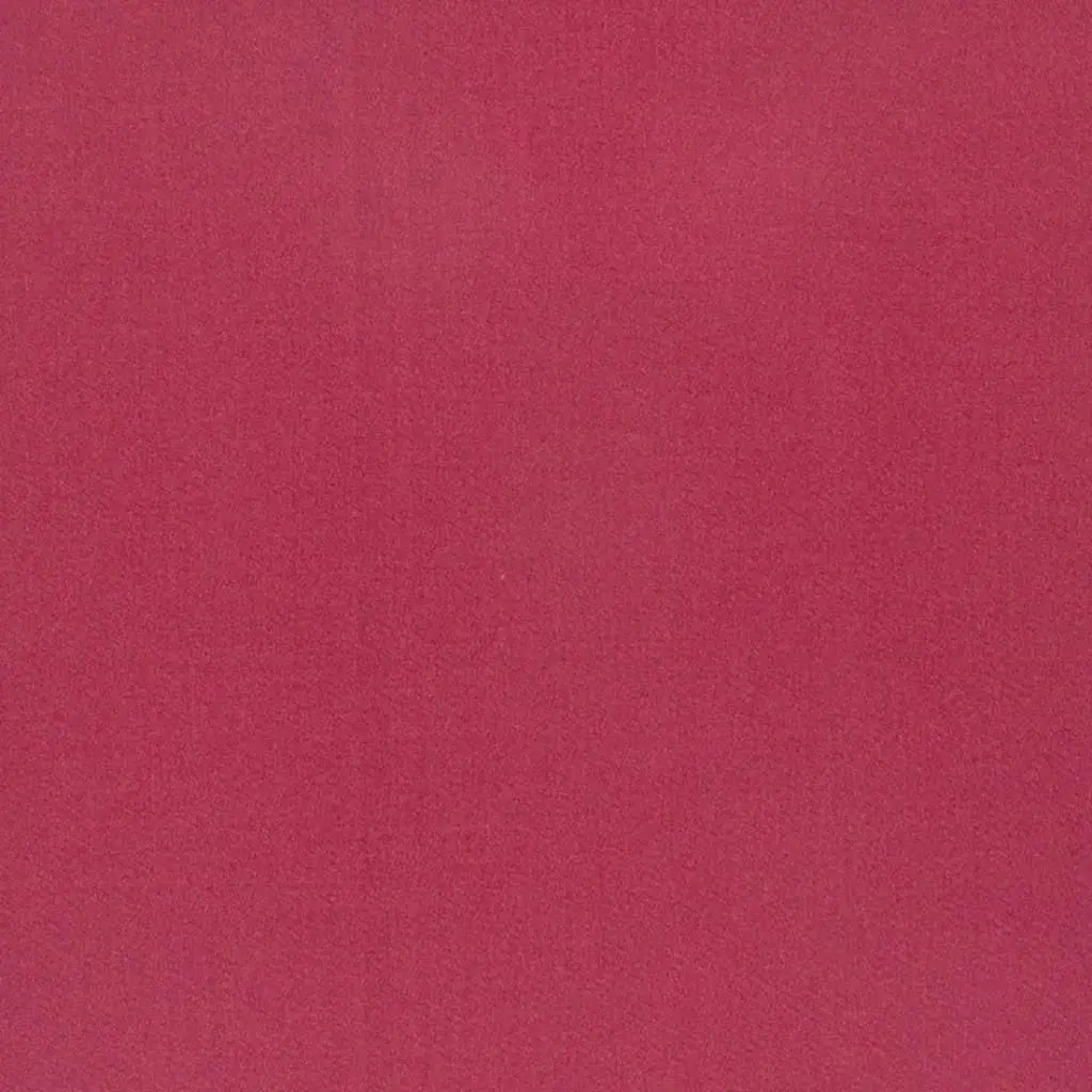 Tiber - Fuchsia Cutting