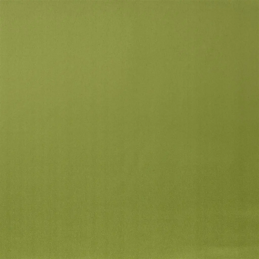 Patia - Leaf Cutting