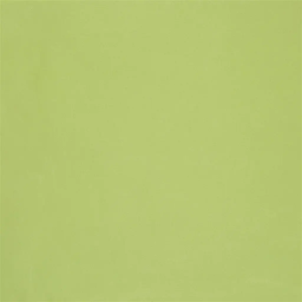 Cara - Lime Cutting