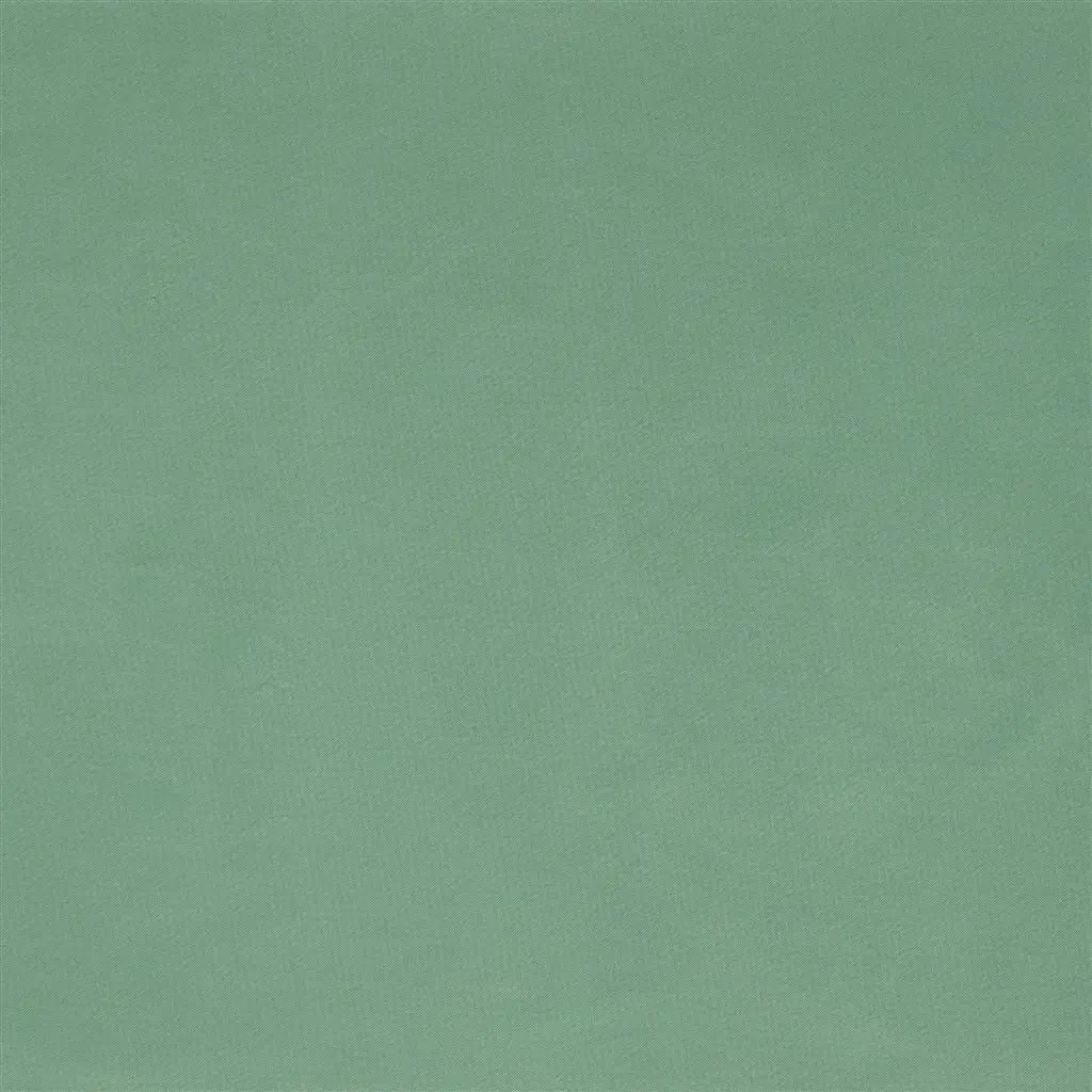 Cara - Sea Mist Cutting