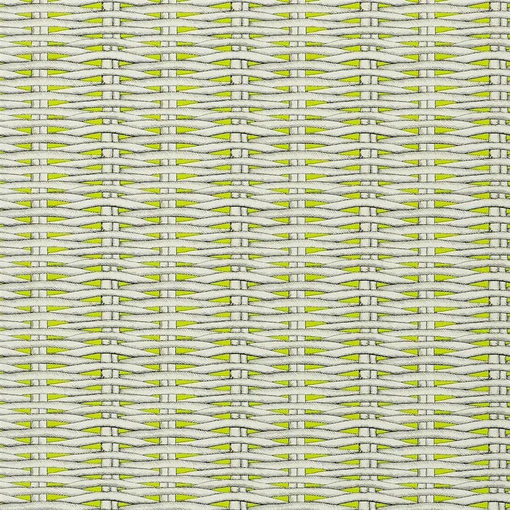 barbade - lime wallpaper