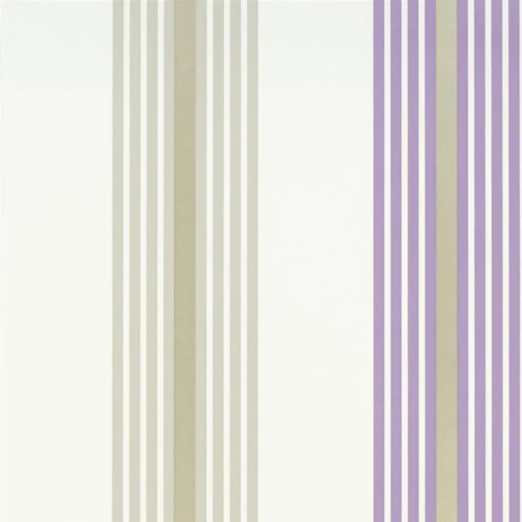 Pembroke - Lavender Cutting