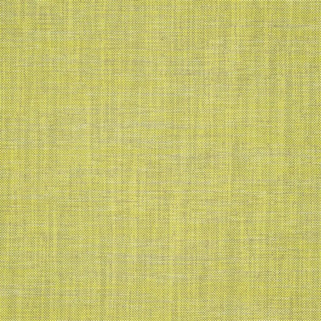 cosia - lime fabric