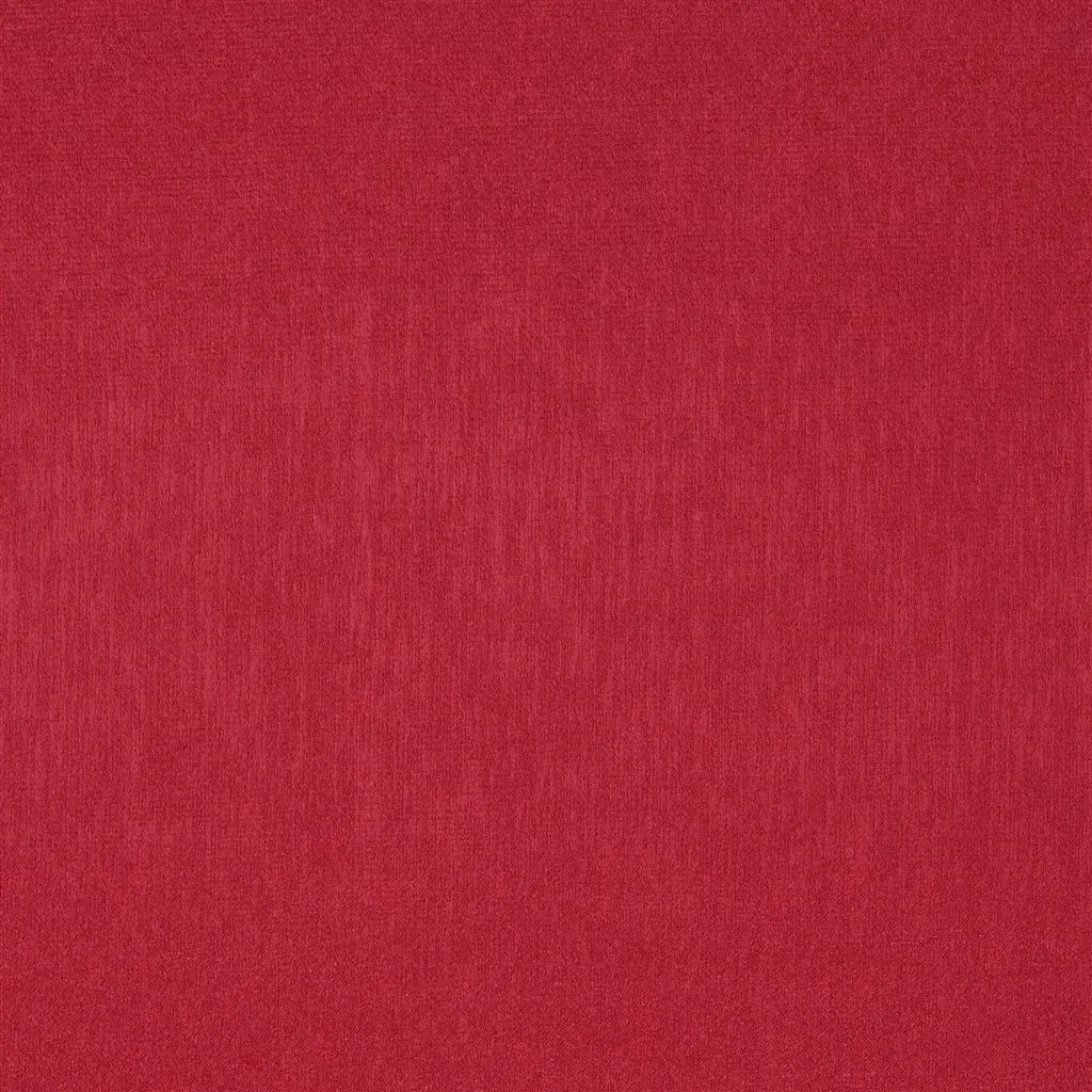 Roseau - Garance Cutting