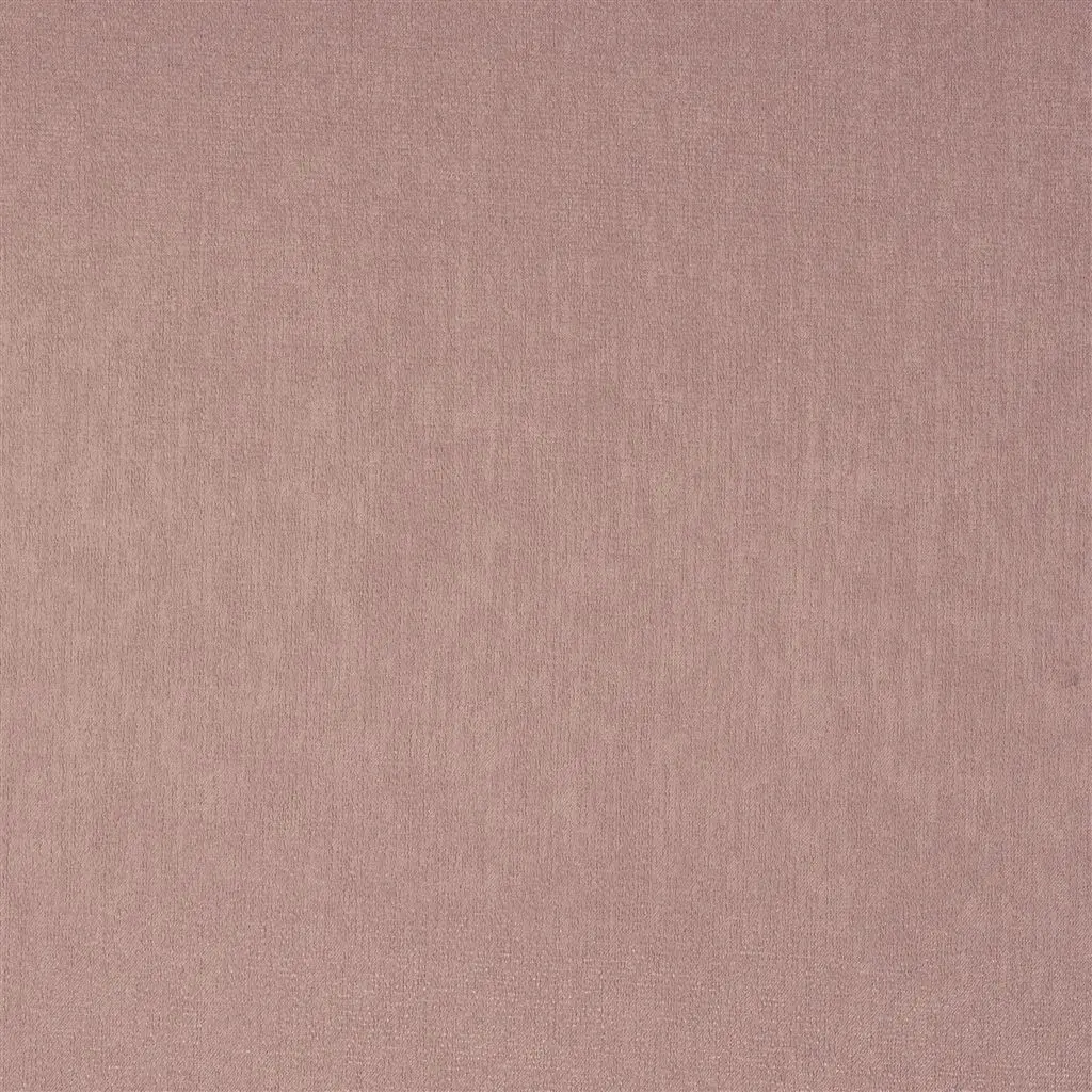 Roseau - Glycine Cutting