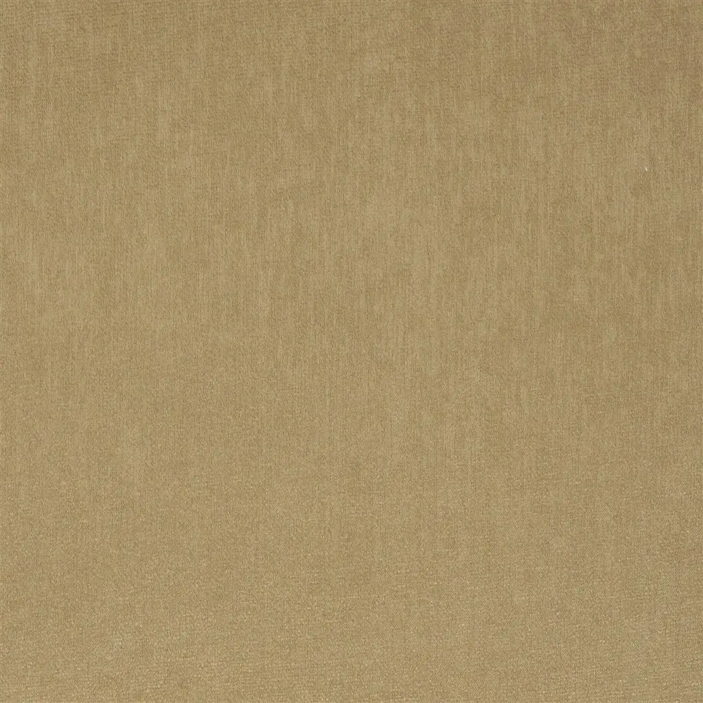 Roseau - Mastic Cutting