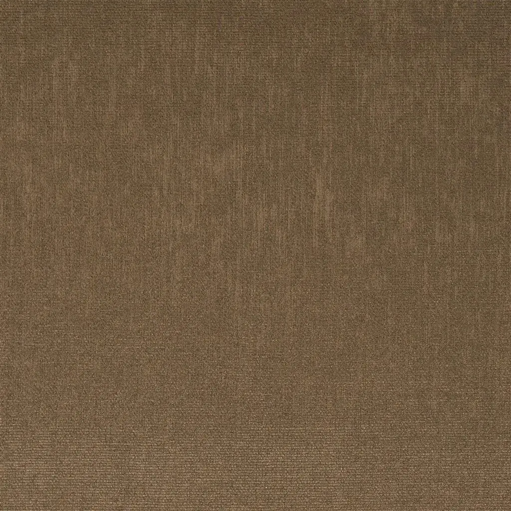 Roseau - Galet Cutting