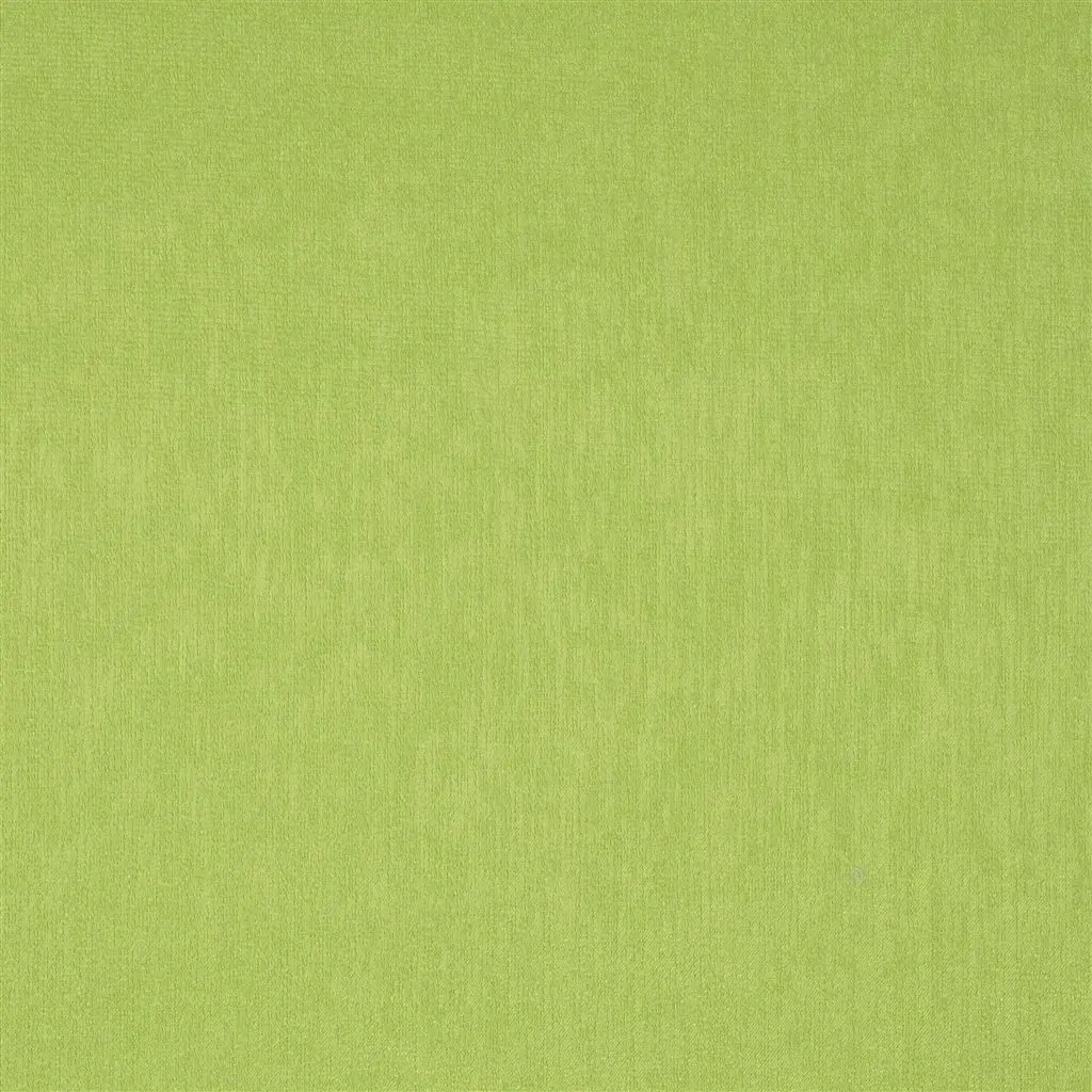 Roseau - Absinthe Cutting