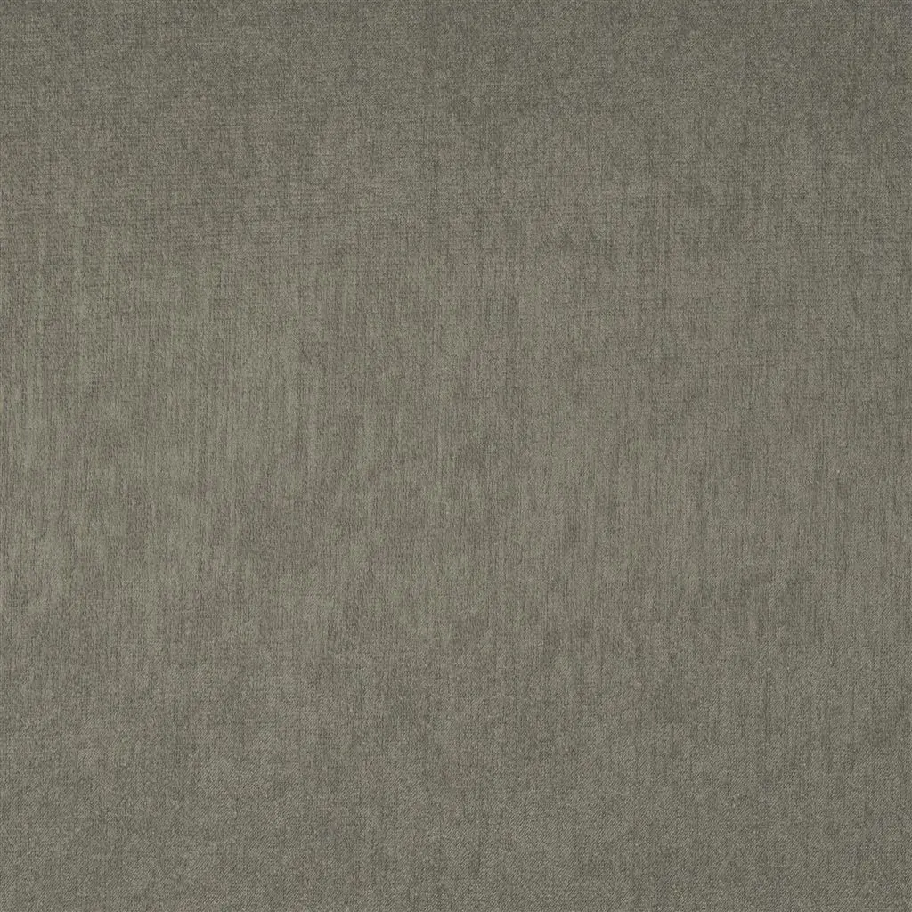 Roseau - Maduro Cutting