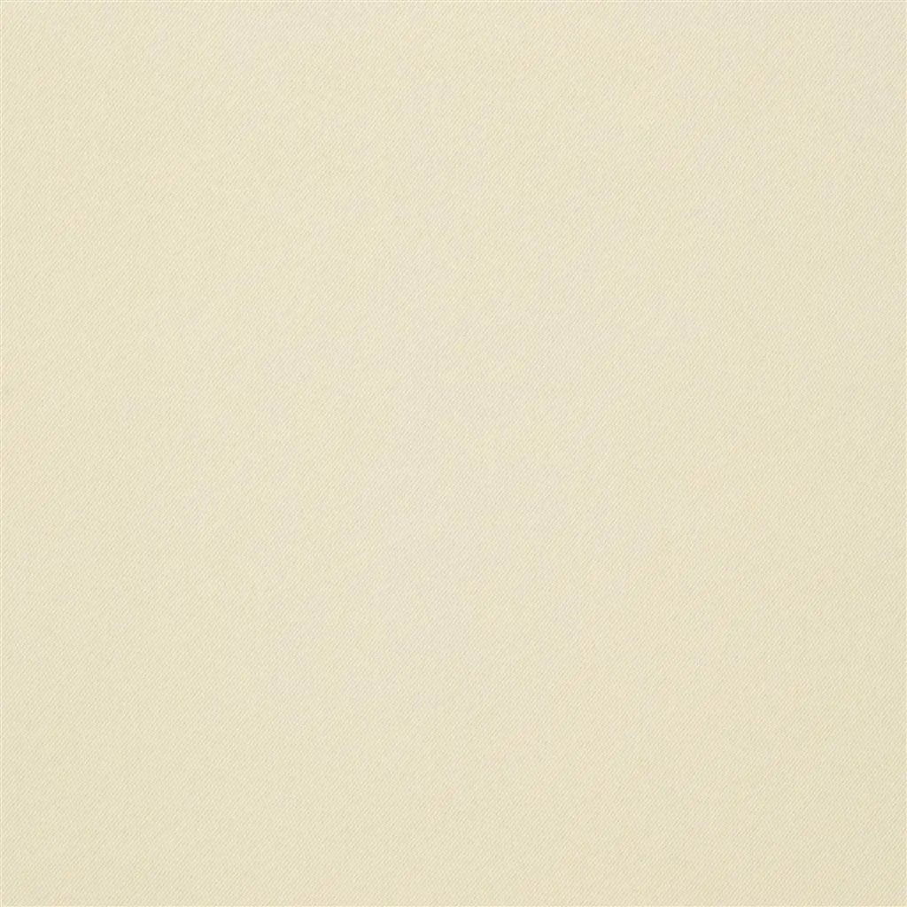 Zudio - Ivory Cutting