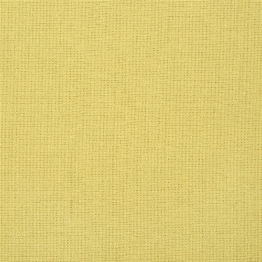conway - lemon fabric