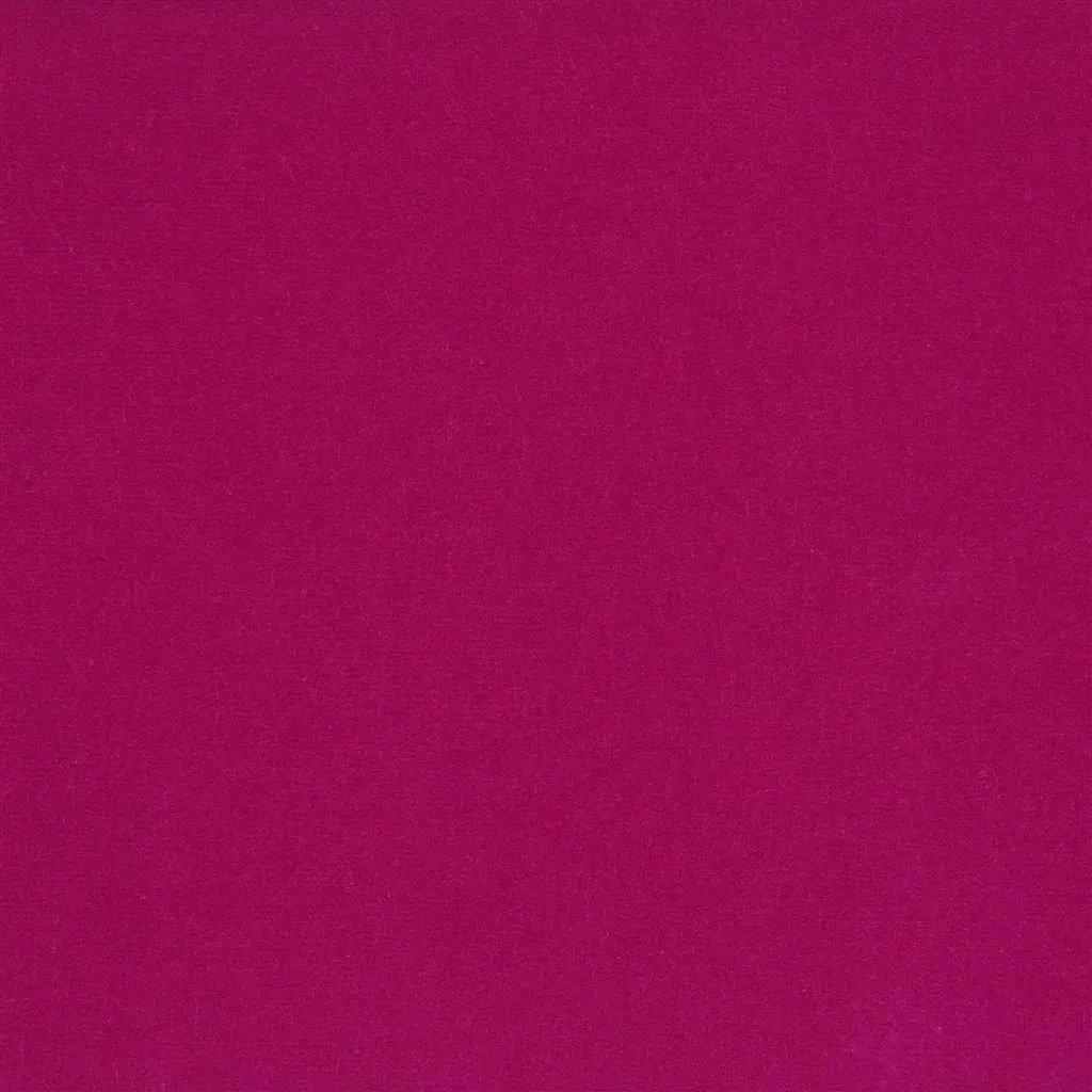 Cassia - Fuchsia Cutting
