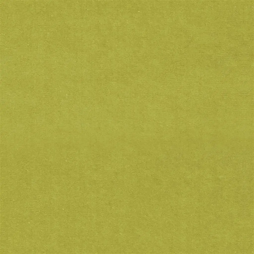 Cassia - Alchemilla Cutting