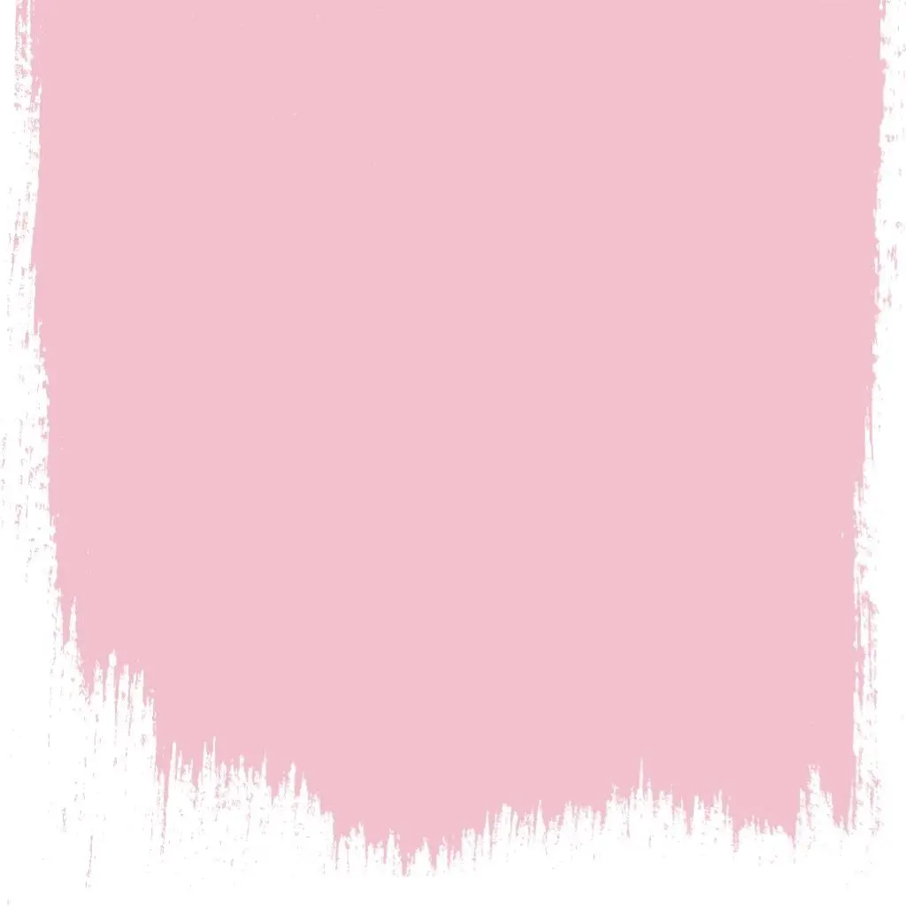 Pink Farbe - Dianthus Pink No 132 Farbe