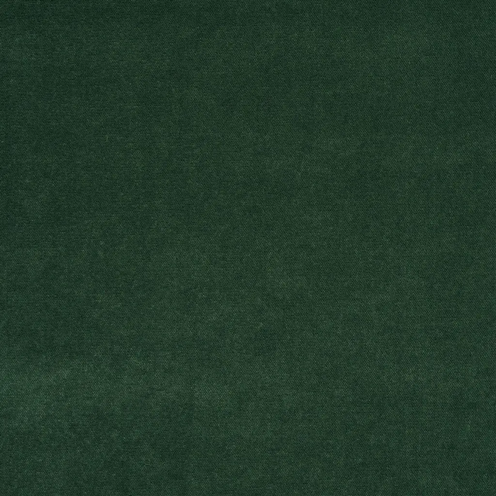 arona - fir fabric