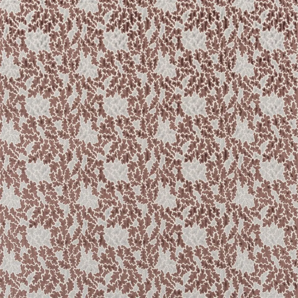 Luisa - Walnut Cutting