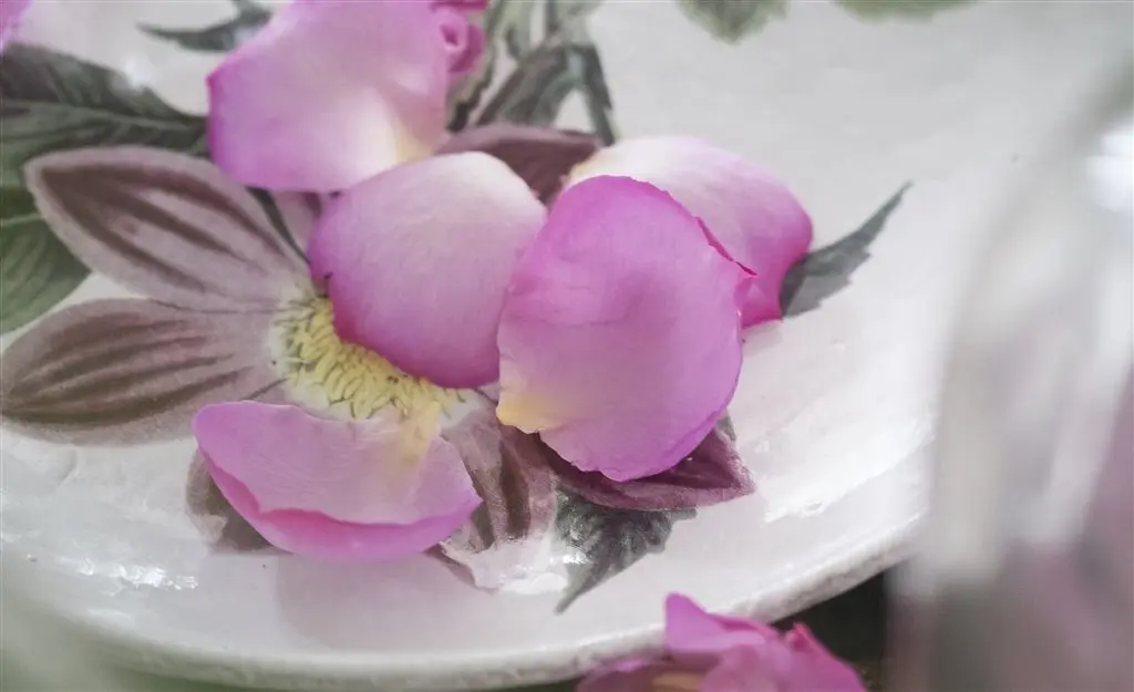 LOS ROSAS Y ROJOS