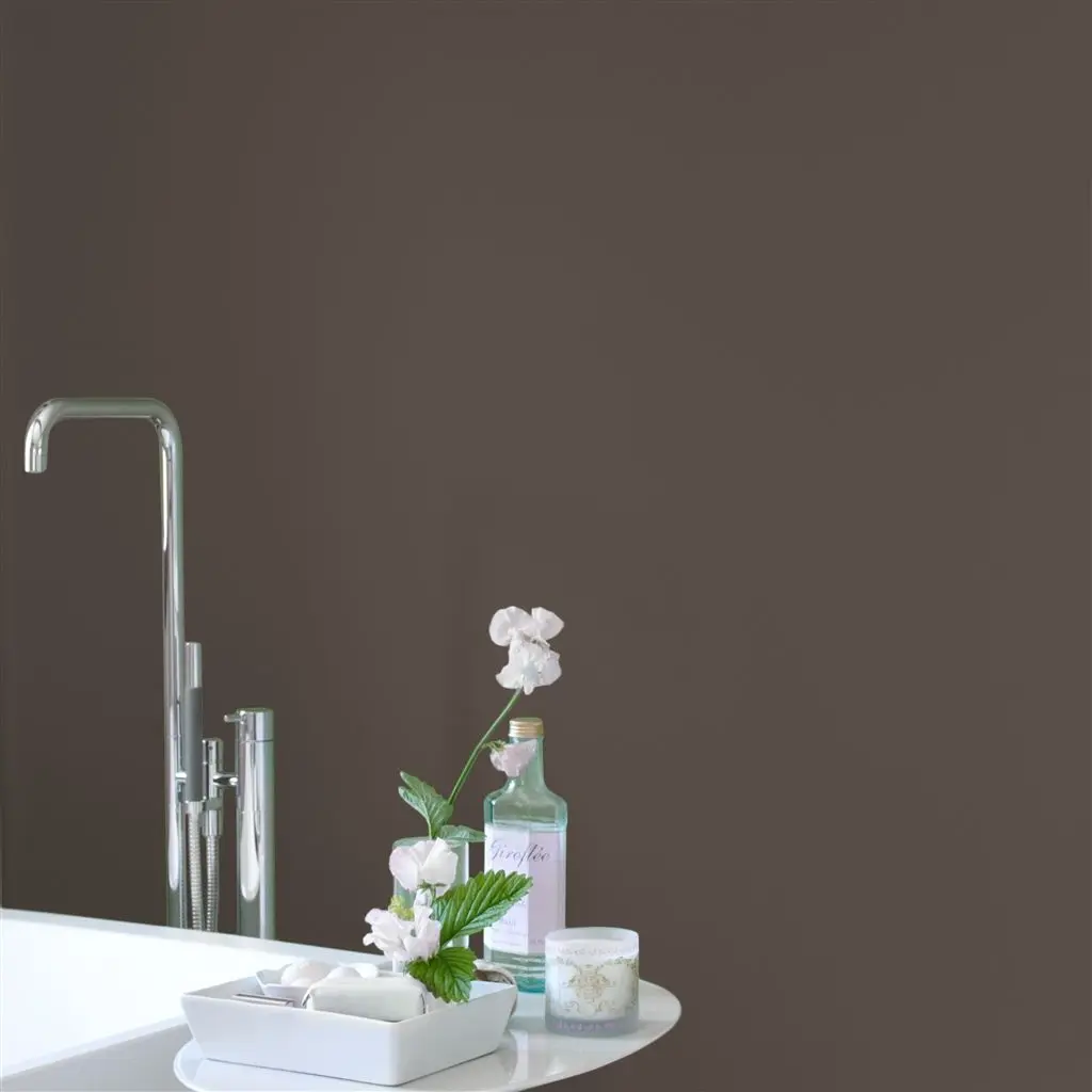 COCOA BEAN NO. 15 PAINT