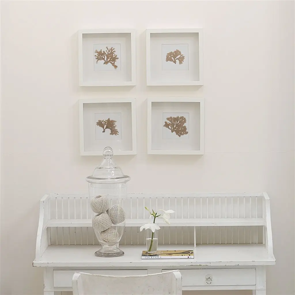 STUCCO WHITE NO. 5 PAINT