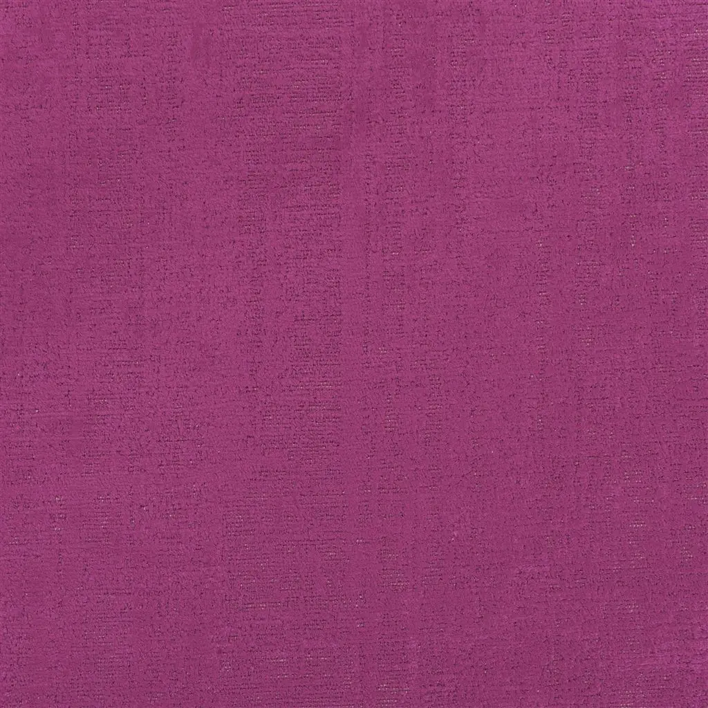 ampara magenta
