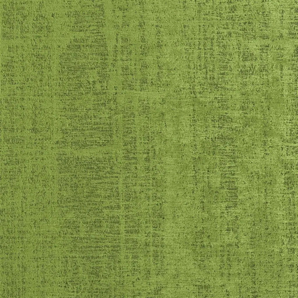 ampara leaf