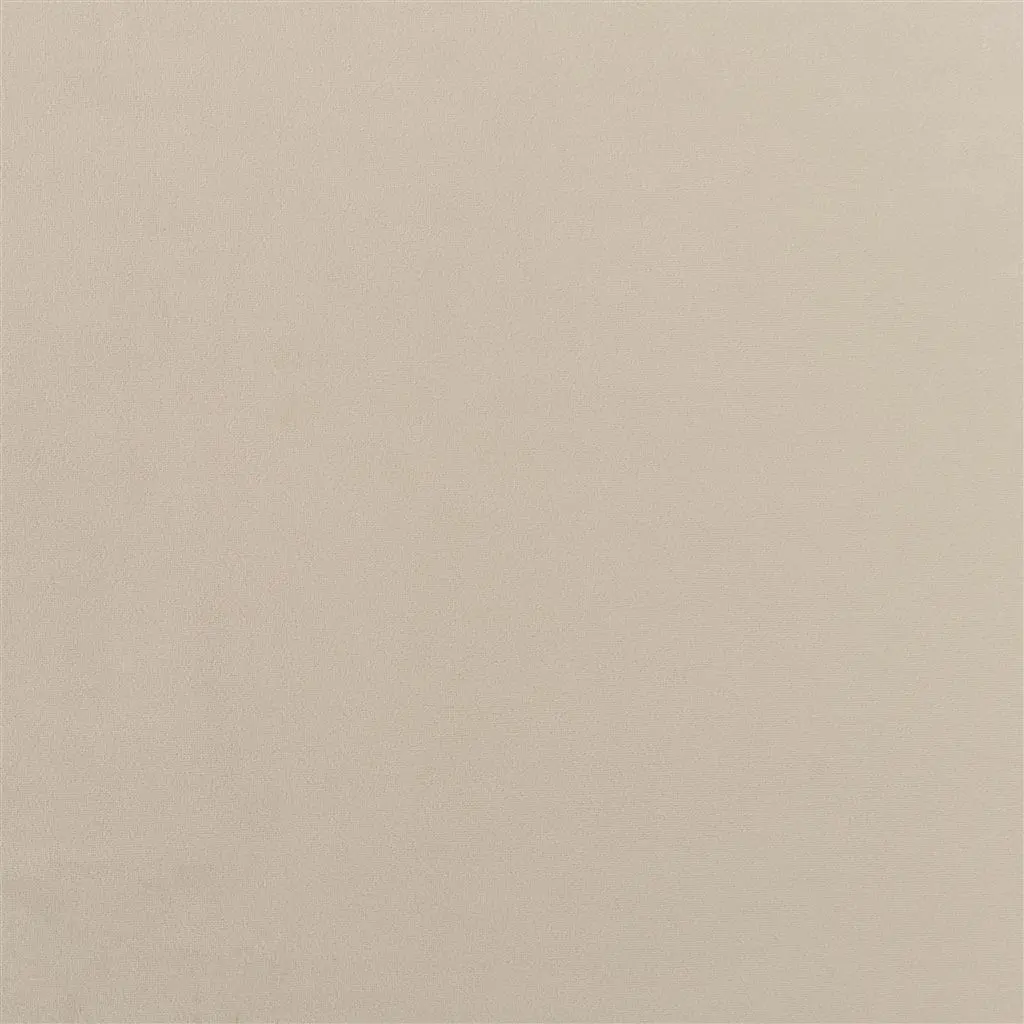trentino - biscuit